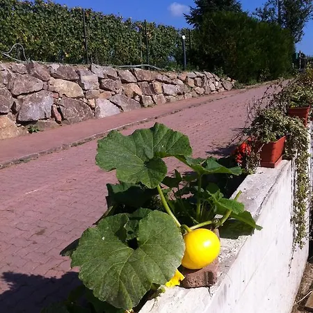 Vignes Pensjonat Colmar